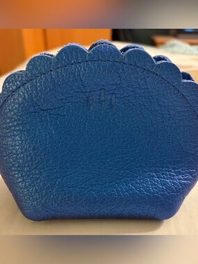 Comet Blue Large Marigold Pouch